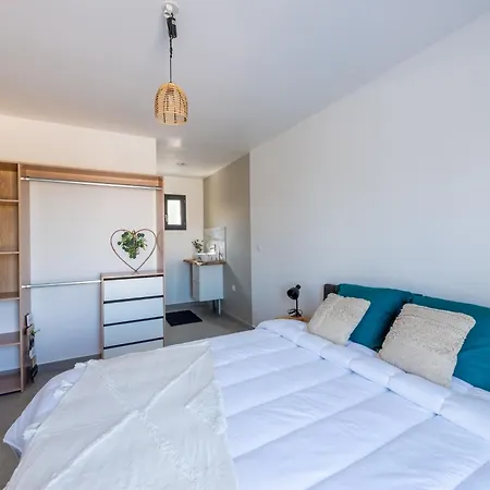 Les Lauriers Roses - Maison Climatisee Piscine